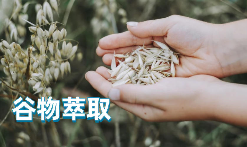 谷物萃取